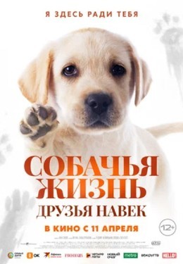 Кино Собачья Жизнь: Друзья навек До 24 апреля