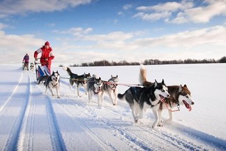 Хаски, сноукайтинг и другие виды активного отдыха в Екатеринбурге зимой 2018