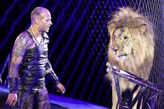 Как приручить кошку? В цирке проходит новая эксклюзивная программа «Нубийские львы».