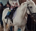 Учёная лошадка Детский праздник, фото № 33