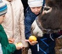 Учёная лошадка Детский праздник, фото № 24