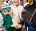 Учёная лошадка Детский праздник, фото № 25
