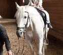 Учёная лошадка Детский праздник, фото № 36