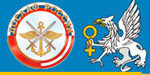 Логотип Автошкола «НОУ Верхнепышминская автомобильная школа ДОСААФ России» - фото лого