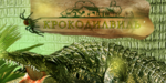 Логотип Выставка рептилий, крокодиловое шоу «Крокодилвиль» - фото лого