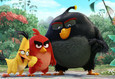 Angry Birds в кино 10