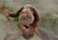 Тролли возвращаются! 1