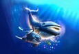Подводная братва. На страже рифа 4