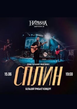 Сплин. Большой трибьют