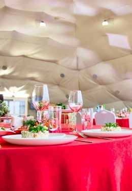 Новогодние корпоративы в банкетном зале "Остров"