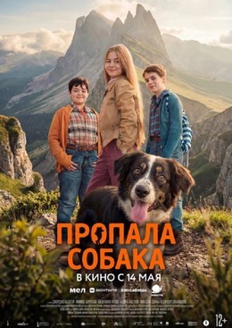 Пропала собака