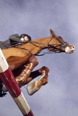 Открытый Чемпионат и Первенство Сысертского ГО по конному спорту