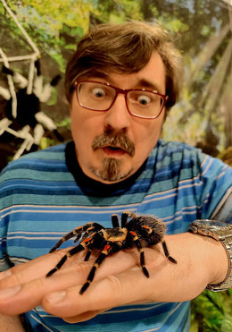 Выставка пауков из Санкт-Петербурга впервые в Екатеринбурге!