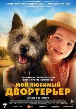 Мой любимый двортерьер