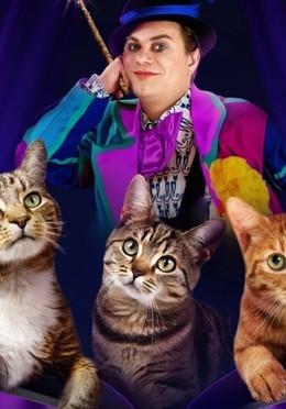 Волшебные кошки Куклачева