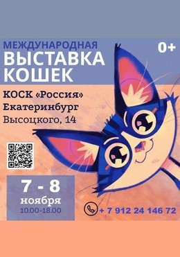 Выставка кошек