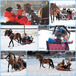 Катания в русских санях