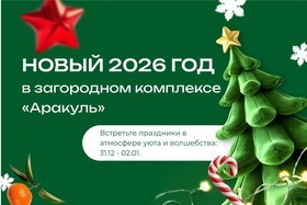 Новый год 2026