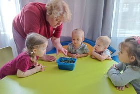 Чудо на подоконнике: Как мы выращиваем свой сад в детском саду