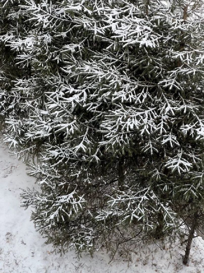 Пески, загородный клуб, посёлок Пески, 13, Екатеринбург – отзывы, адреса и  телефоны