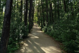 Для проекта «Большая уральская тропа» разработают электронный путеводитель