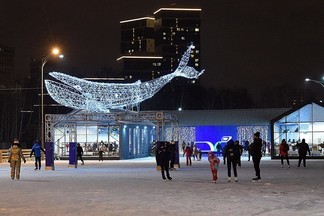 В парке Маяковского стартует сезон коньков