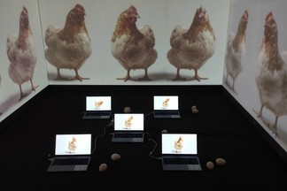 Фестиваль цифрового искусства в Екатеринбурге посетили более 12 тысяч человек