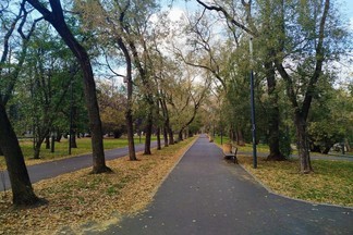 В одном из парков Екатеринбурга пройдёт масштабная экологическая акция