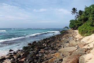 Шри-Ланка начала выдавать россиянам бесплатные визы