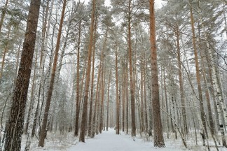 В природных парках Свердловской области появились новые маршруты