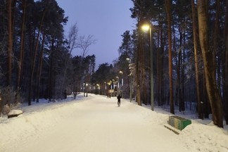 В январе уральцы отправятся на «Немайскую прогулку»