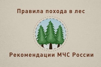 К дому может вывести лесная дорога: екатеринбургские спасатели рассказали, что делать, если вы заблудились в лесу