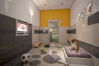 В Екатеринбурге хотят построить крупный зооцентр с гостиницей для животных