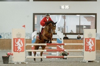 Свердловская область примет Чемпионат России по конному троеборью