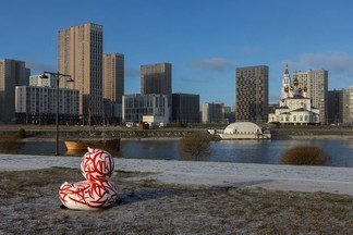 В Академическом районе появилась скульптура в виде большой утки