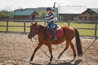 Галопом с уроков: верховая езда как альтернативный вид досуга для школьников