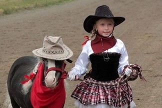 В Свердловской области пройдёт первый пони фестиваль