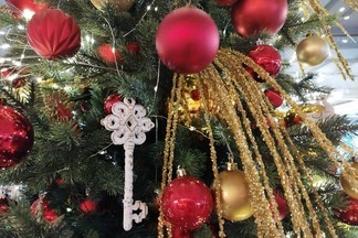 Уральцам рассказали, как экологично утилизировать новогоднюю ель