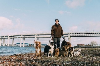 Паблик-арт «ЧО» организует благотворительную «Собакцию» в помощь животным