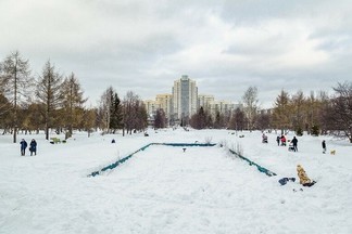 Городские парки поборются за право на благоустройство