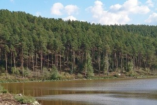 В Свердловской области разработают маршруты для туристов из Китая