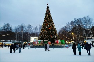 Екатеринбуржцы смогут отметить Новый год в Парке Маяковского