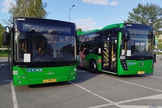 С августа по Екатеринбургу начнут курсировать новые автобусы-гармошки