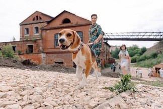 В Свердловской области пройдёт сап-заплыв с собаками