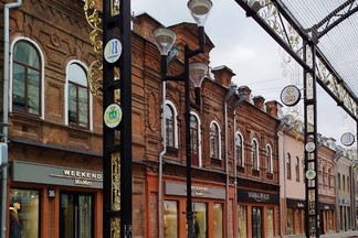 На Вайнера заметили огромного льва