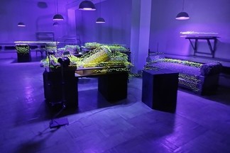 Уральская индустриальная биеннале презентовала тотальную инсталляцию «Биостанция»