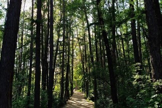 Природные парки Свердловской области установили рекорд по посещаемости