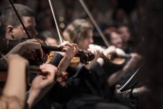 Венский фестиваль вернётся в уральскую столицу под новым названием