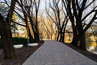 В Екатеринбурге появился сквер в честь уральского поэта