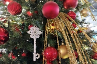 Стало известно, где и когда в уральской столице откроются ёлочные базары